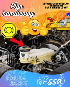 Płyn hamulcowy